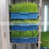 Hydroponics Animal Fodder Machinprofessional Automatic Oat Rooting Machine /bean Budding Machine/animal Fodder Sprouting Machine thumbnail-1