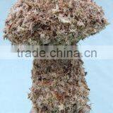 Mushroom Moss Topiary thumbnail-1