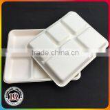Disposbale Biodegradable Bagasse 5 Compartments Lunch Tray thumbnail-1