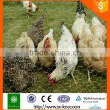 Heavily Hexagonal Wire Netting