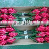 High Quality Artificial Plant