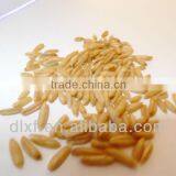 Oat/peeless Oat thumbnail-3