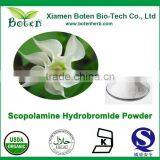 Scopolamine Hydrobromide