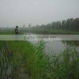 Fish Farming Aerator - Fish Aerator