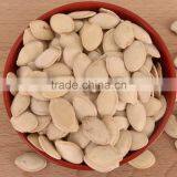 Price of 2015 Pumpkin Seeds 9-11mm thumbnail-4