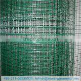 High Quality PVC Coated Welded Mesh / Environmental PVC Coated Welded Mesh / PVC Coated Welded Mesh for Mine