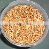 Chicken Farm Feed High Protein Mealworms thumbnail-2
