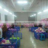 Shenzhen Singja Gifts& Crafts Co., Ltd. company overview - view 2 thumbnail