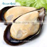 Frozen Precooked Half Shell Blue Mussel thumbnail-3