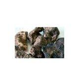 Grifola Umbellate Extract thumbnail-1