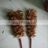 Fast Shipping Natural Color Chincken Feather Duster From South Africa thumbnail-2
