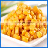 canned sweet corn/Canned Sweet Corn 2016 new pack and crop easy open