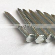 Polish Common Wire Nails /Iron Nails /Pointe Factory Cheap Price thumbnail-5