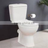 Alibaba hot selling washdown ceramic two piece toilet bathroom sanitary ware