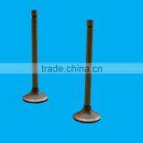 Inlet Valve for SINGFO Diesel Generator for Sale