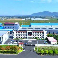 Huayue Diamond (Shandong) Arts & Crafts Co. , Ltd company overview - view 1 thumbnail