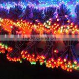 Low Voltage String Lights RGB Led Lamp thumbnail-4