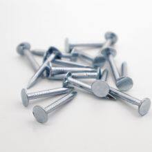 POWER Steel Roofing Felt Nails Supplier 20mm Length for Ceiling Installation thumbnail-5