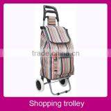 Fashion Customizable Rolling Shopping Cart
