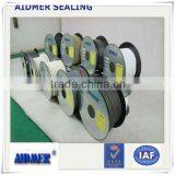 Pump Sealing Pure Ptfe Packing