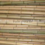 Bamboo Pole Sun-005 thumbnail-1