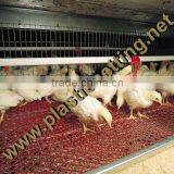 High quality plastic chicken mesh