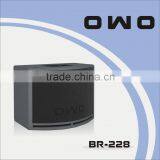 BR Series PA Loudspeaker BR-228