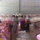 China Red Garlic Price Store Garlic thumbnail-3