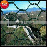 Green Colour Plastic Coated Chicken Wire Netting