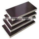 1250mmx2500mmm or 1220mmx2440mm Construction Film Faced Plywood thumbnail-3