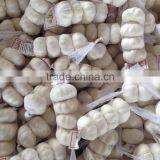 2015 China Garlic Price thumbnail-4