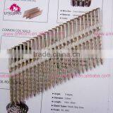 21 Degree Plastic Strip Nails thumbnail-1