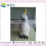 High quality Repeat talking white Parrot soft plush toy