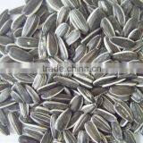 Raw Sunflower Seeds 0409 Stye thumbnail-1