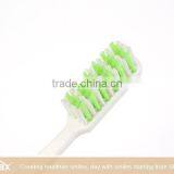Shinemax Cheap Toothbrush Foldable Toothbrush Hot Sale in 2016 thumbnail-5