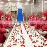 CHINA VACUUM FROZEN DRIED STRAWBERRY NATURAL GREEN SAFE DELICIOUS thumbnail-5