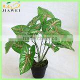 Fake Bonsai Taro Tree