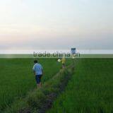 Intelligent High Efficient UV Lamp Solar Frequency Insect Killer thumbnail-1