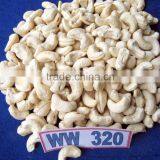 VietNam Cashew Nut Kernel WW 320 thumbnail-1