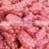 2013 Cold-stored Fresh Red Onion & Yellow Onion thumbnail-1