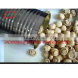 Competitive price for brine canned mushroom ,Champignon whole slices