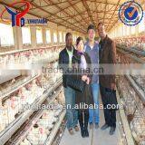 Poultry Dung Removing Machinery Equipment /layer Poultry Cages for Nigeria/africa thumbnail-2