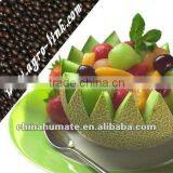 Humic Amino Acid Organic Fertilzier