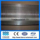 Welded Wire Mesh Rolls/galvanized Welded Wire Mesh 2x2
