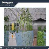 10XNet Slip Pot Plant Nursey With Cubic Sponge Grow Kit Hydroponic Plant thumbnail-1