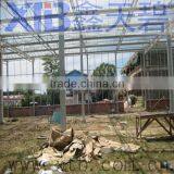 Glass Greenhouse for Agricultural thumbnail-1