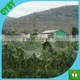 New Anti-bird Netting, Anti Bird Net for Catching Birds, pe Anti Bird Protection Netting thumbnail-3