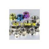 Titanium Color Nuts and Bolts thumbnail-2