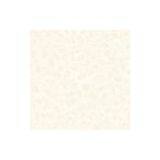 Polished Porcelain Tiles