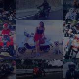 Yog Auto Mobile Parts Co.,ltd company overview - view 1 thumbnail